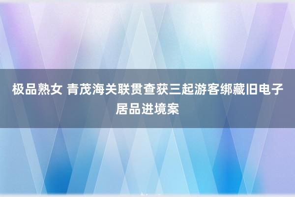 极品熟女 青茂海关联贯查获三起游客绑藏旧电子居品进境案