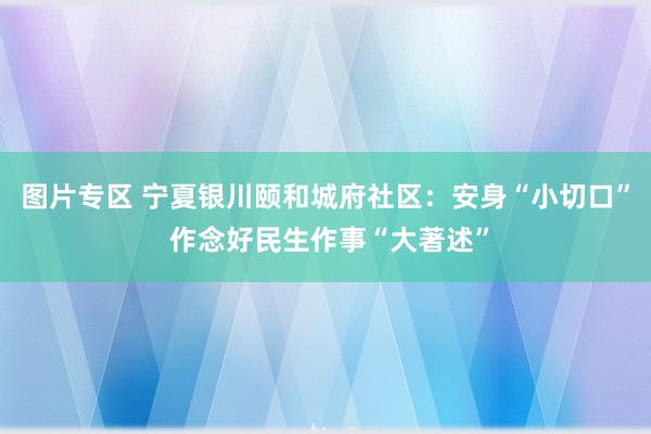 图片专区 宁夏银川颐和城府社区：安身“小切口” 作念好民生作事“大著述”