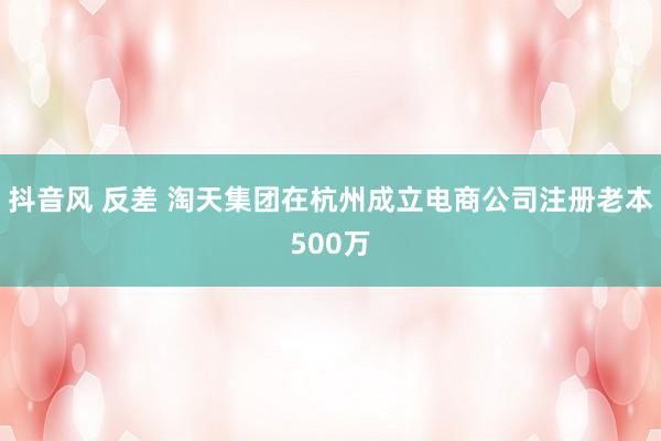 抖音风 反差 淘天集团在杭州成立电商公司注册老本500万