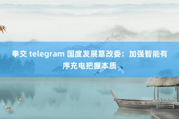 拳交 telegram 国度发展篡改委：加强智能有序充电把握本质