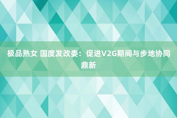 极品熟女 国度发改委：促进V2G期间与步地协同鼎新