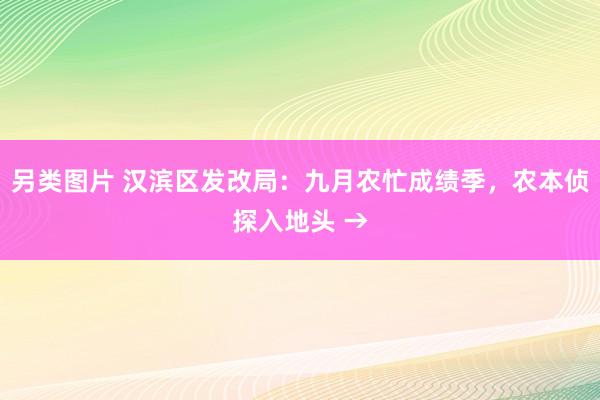 另类图片 汉滨区发改局：九月农忙成绩季，农本侦探入地头 →