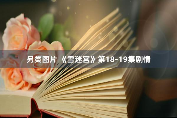 另类图片 《雪迷宫》第18-19集剧情