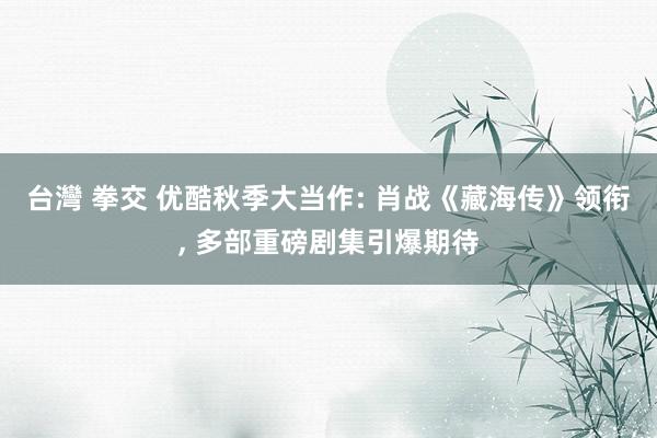 台灣 拳交 优酷秋季大当作: 肖战《藏海传》领衔， 多部重磅剧集引爆期待