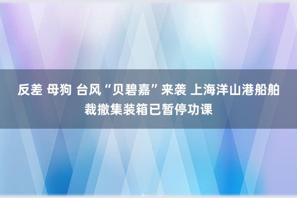 反差 母狗 台风“贝碧嘉”来袭 上海洋山港船舶裁撤集装箱已暂停功课