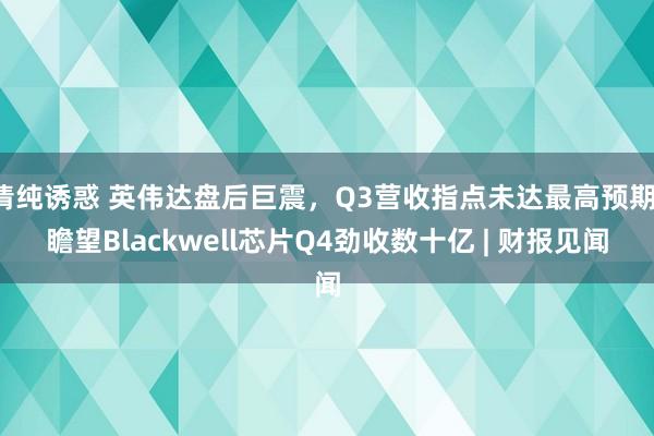 清纯诱惑 英伟达盘后巨震，Q3营收指点未达最高预期，瞻望Blackwell芯片Q4劲收数十亿 | 财报见闻