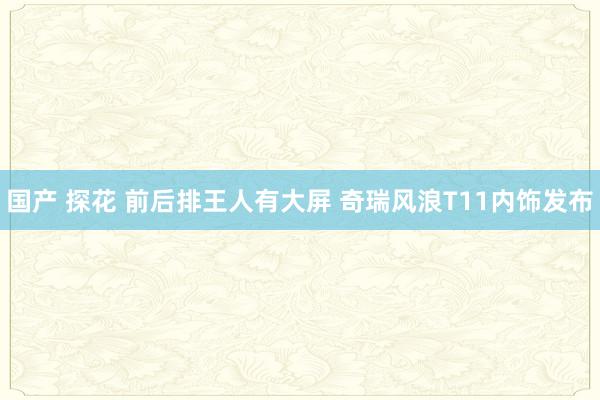 国产 探花 前后排王人有大屏 奇瑞风浪T11内饰发布