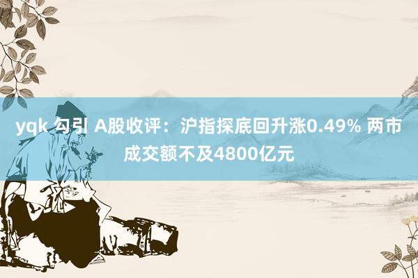 yqk 勾引 A股收评：沪指探底回升涨0.49% 两市成交额不及4800亿元