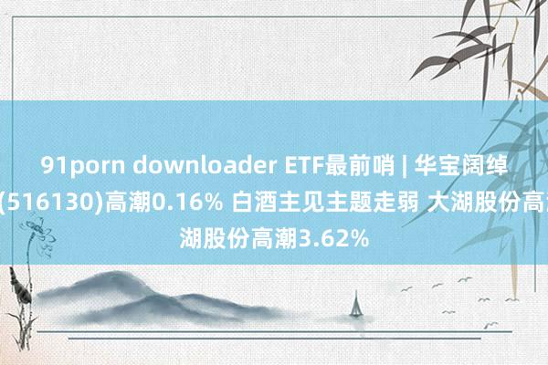 91porn downloader ETF最前哨 | 华宝阔绰龙头ETF(516130)高潮0.16% 白酒主见主题走弱 大湖股份高潮3.62%