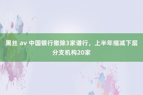 黑丝 av 中国银行撤除3家谱行，上半年缩减下层分支机构20家