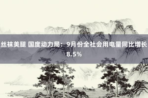 丝袜美腿 国度动力局：9月份全社会用电量同比增长8.5%