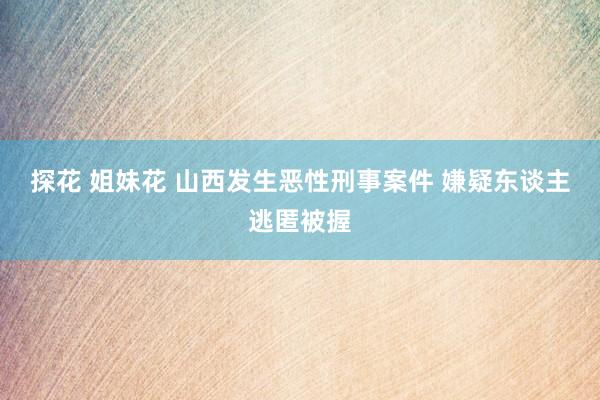 探花 姐妹花 山西发生恶性刑事案件 嫌疑东谈主逃匿被握