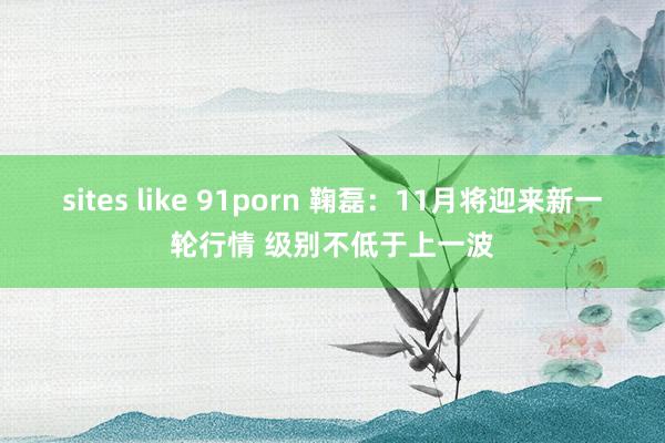 sites like 91porn 鞠磊：11月将迎来新一轮行情 级别不低于上一波