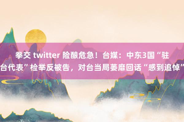 拳交 twitter 险酿危急！台媒：中东3国“驻台代表”检举反被告，对台当局萎靡回话“感到追悼”