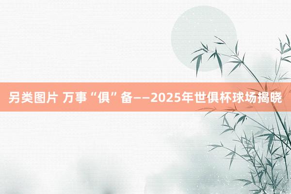 另类图片 万事“俱”备——2025年世俱杯球场揭晓