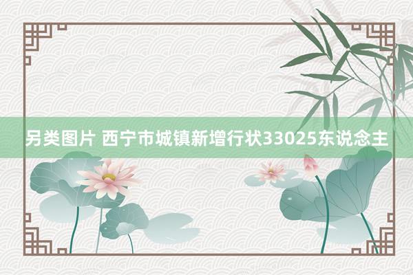 另类图片 西宁市城镇新增行状33025东说念主