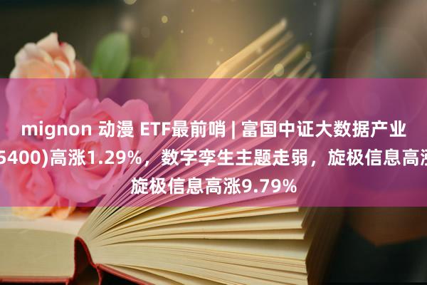 mignon 动漫 ETF最前哨 | 富国中证大数据产业ETF(515400)高涨1.29%，数字孪生主题走弱，旋极信息高涨9.79%