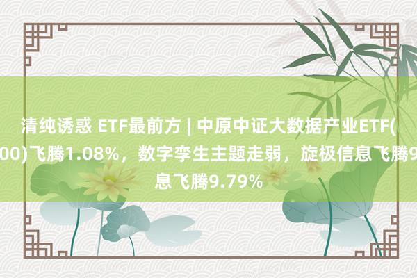 清纯诱惑 ETF最前方 | 中原中证大数据产业ETF(516000)飞腾1.08%，数字孪生主题走弱，旋极信息飞腾9.79%