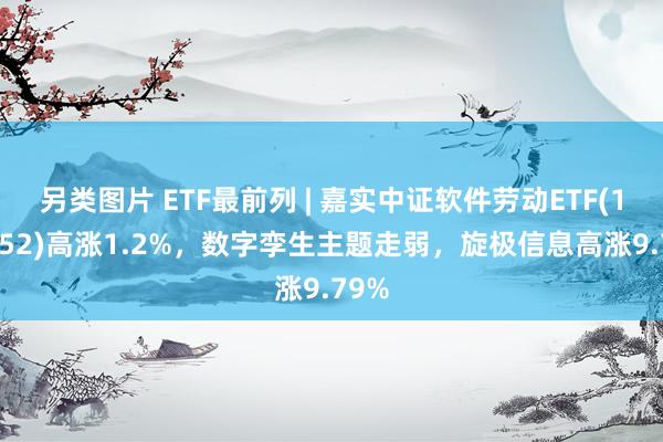 另类图片 ETF最前列 | 嘉实中证软件劳动ETF(159852)高涨1.2%，数字孪生主题走弱，旋极信息高涨9.79%