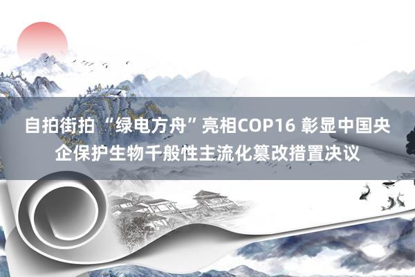 自拍街拍 “绿电方舟”亮相COP16 彰显中国央企保护生物千般性主流化篡改措置决议