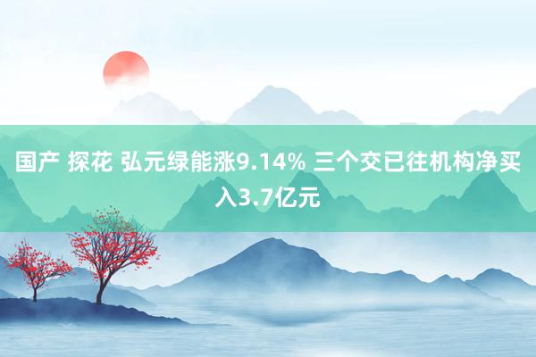 国产 探花 弘元绿能涨9.14% 三个交已往机构净买入3.7亿元