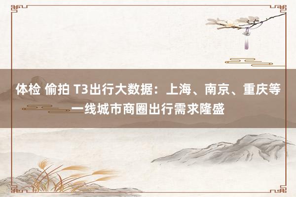 体检 偷拍 T3出行大数据：上海、南京、重庆等一线城市商圈出行需求隆盛