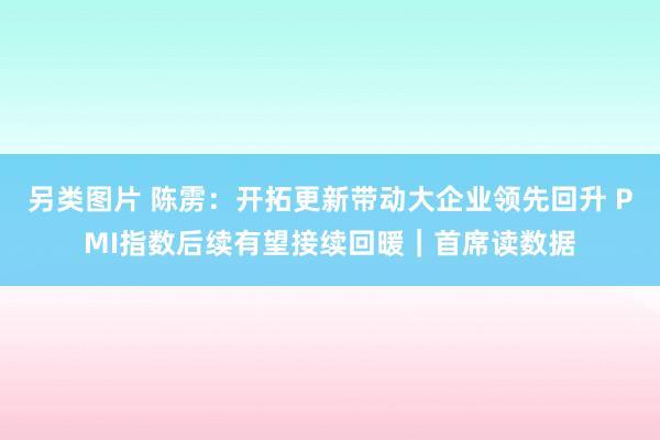 另类图片 陈雳：开拓更新带动大企业领先回升 PMI指数后续有望接续回暖｜首席读数据