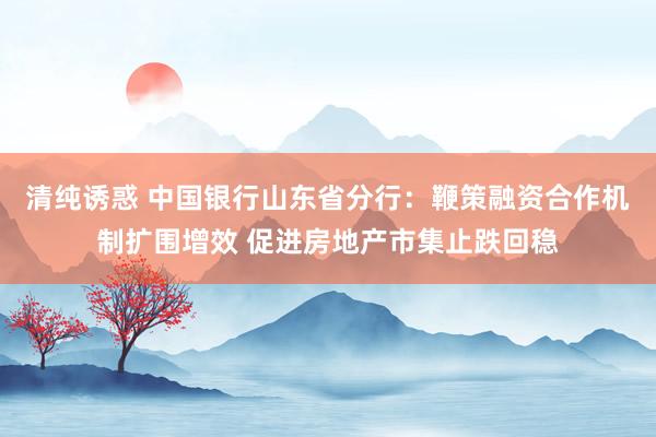 清纯诱惑 中国银行山东省分行：鞭策融资合作机制扩围增效 促进房地产市集止跌回稳