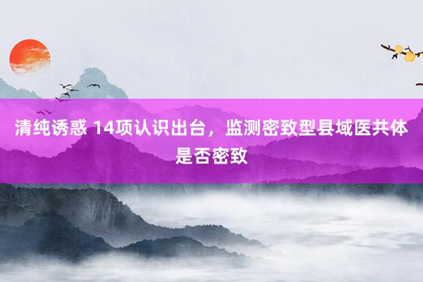 清纯诱惑 14项认识出台，监测密致型县域医共体是否密致