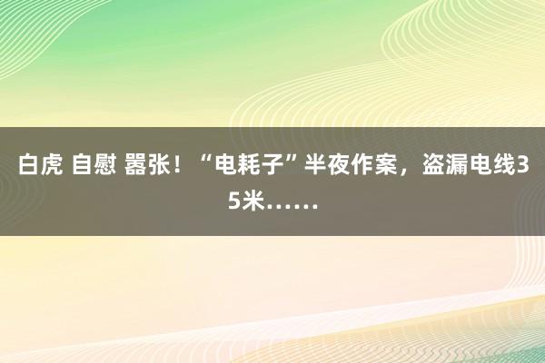 白虎 自慰 嚣张！“电耗子”半夜作案，盗漏电线35米……