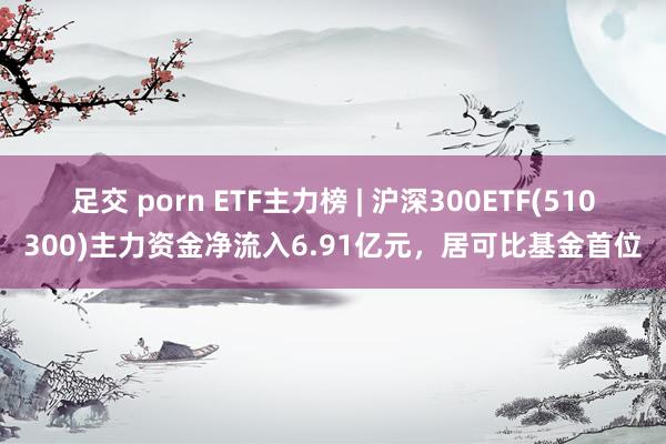 足交 porn ETF主力榜 | 沪深300ETF(510300)主力资金净流入6.91亿元，居可比基金首位