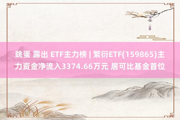 跳蛋 露出 ETF主力榜 | 繁衍ETF(159865)主力资金净流入3374.66万元 居可比基金首位